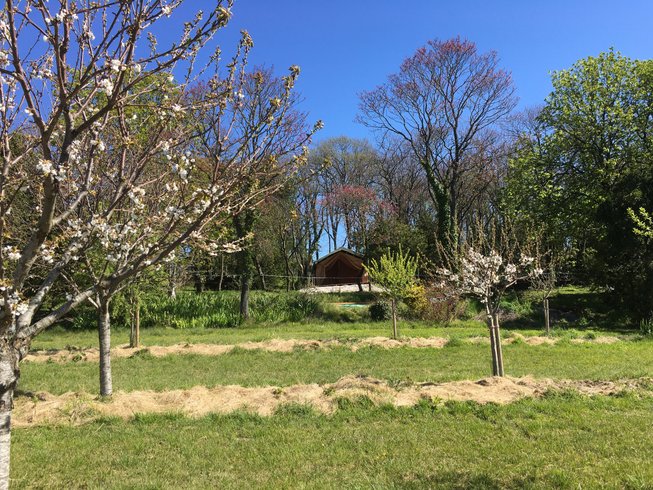 Domaine AbracadaRoom : Les Toiles de La Tortillère - Image 13