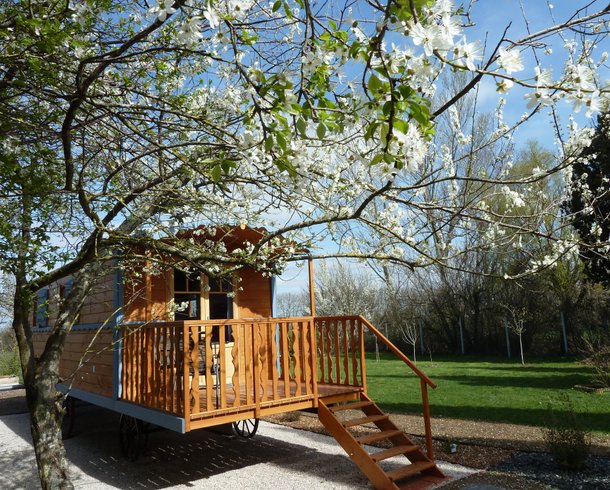 Hébergement AbracadaRoom : Roulotte Isatis - Image 1