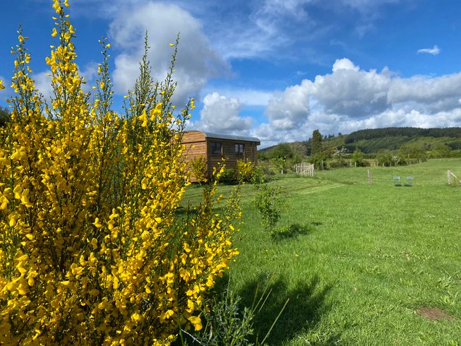 Hébergement AbracadaRoom : Roulotte 360°nature - Image 30