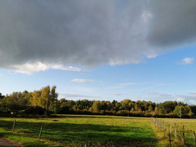 Domaine AbracadaRoom : Tiny House "Ô P'tit Nid Milie"   avec sauna : Classé 1 étoile - Vosges - Image 11