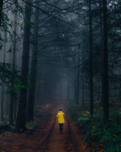 Domaine AbracadaRoom : Loire Valley Lodges - Hôtel - Image 14