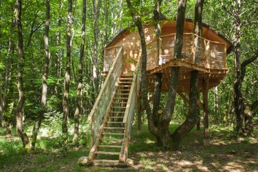 cabane dans les arbres-tinto-famille-bretagne-abracadaroom
