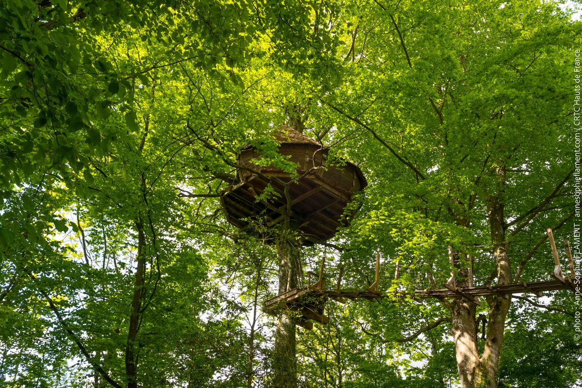 La cabane Haut-Perchée & Spa à Wail (10)