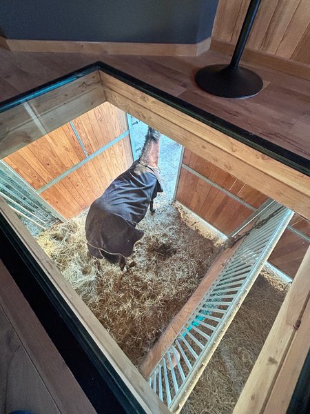 Hébergement AbracadaRoom : La Stabu des prés Hauts & Spa - Image 11