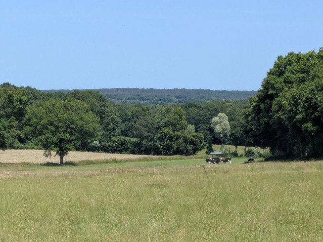 Domaine AbracadaRoom : Datcha en Brocéliande - Image 2