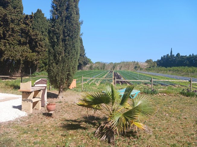 Hébergement AbracadaRoom : La Roulotte Spa bohème - Image 5