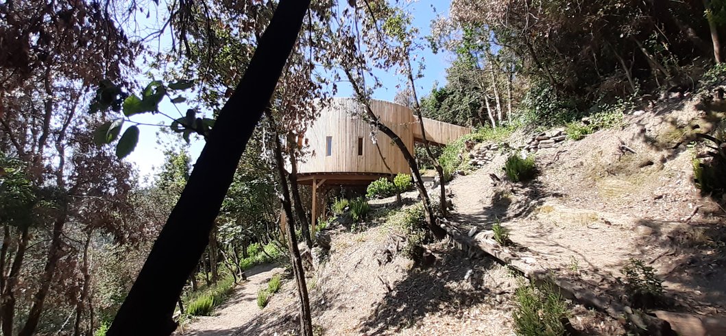 Hébergement AbracadaRoom : Cabane l'Albitru - Image 6