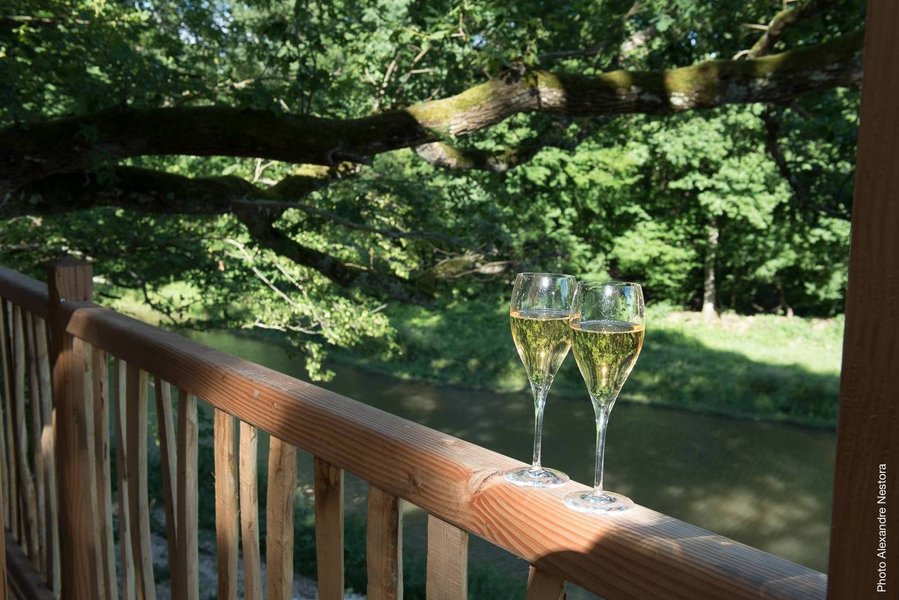coupe de champagne-cabane dans les arbres-séjour insolite en famille-centre-abracadaroom