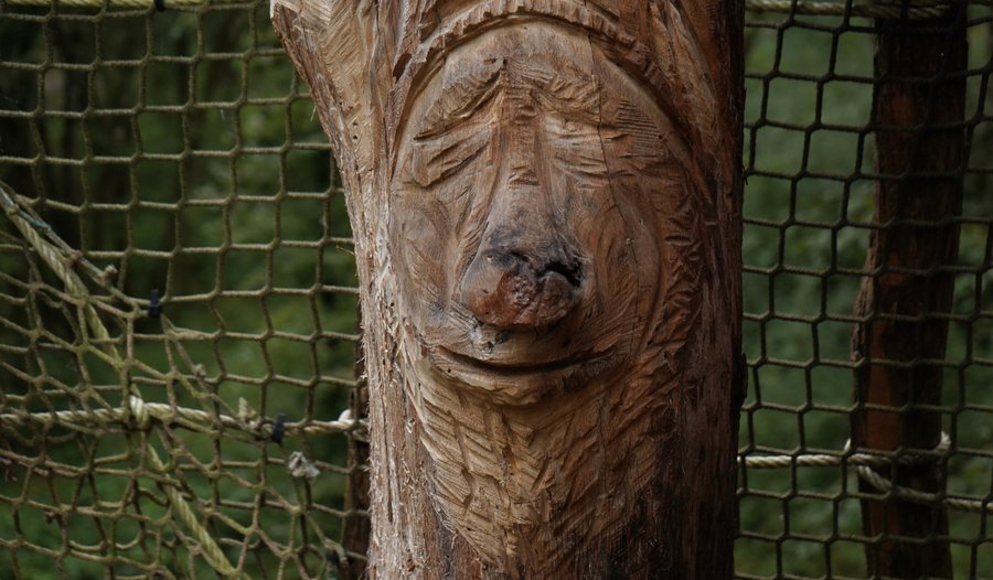 Domaine AbracadaRoom : Cabanes du Bois Clair - Image 3