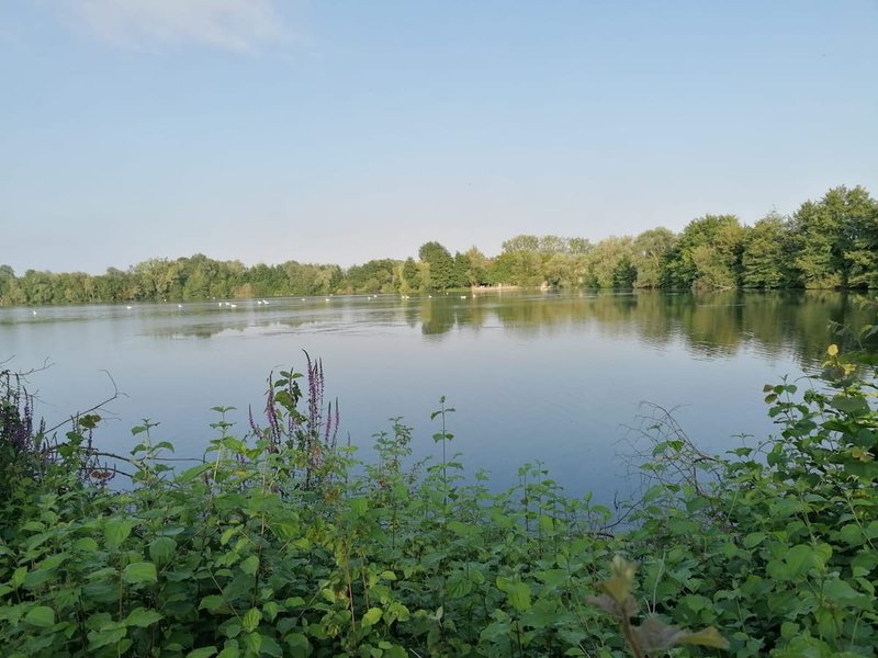 Domaine AbracadaRoom : Le Laurier Blanc - Image 2