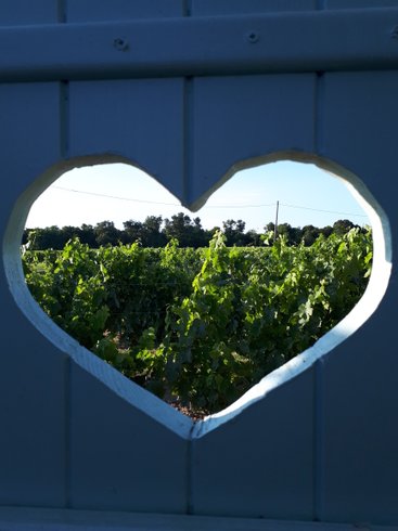 Domaine AbracadaRoom : La Roulotte de Glorit - Image 6