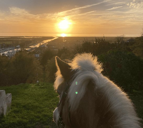 Domaine AbracadaRoom : Homnest (Mortagne) - Image 12