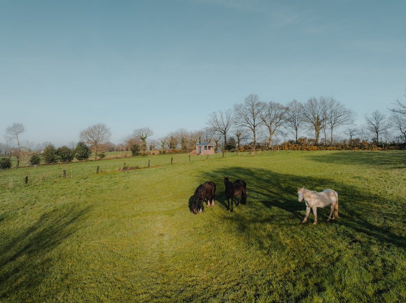 Hébergement AbracadaRoom : Parcel Tiny House - dans la campagne proche Rennes - Image 3