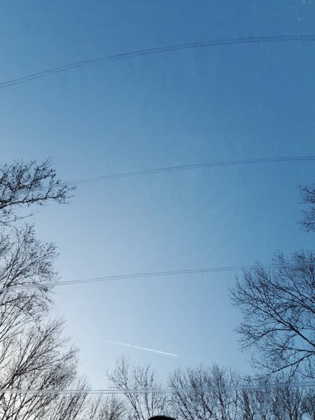 Hébergement AbracadaRoom : Natur'Bulle - Image 2