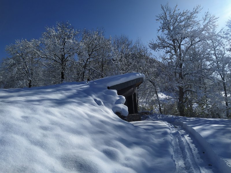 Hébergement AbracadaRoom : La Bulle d'Eau : écolodge au milieu des volcans avec Spa privatif - Image 2