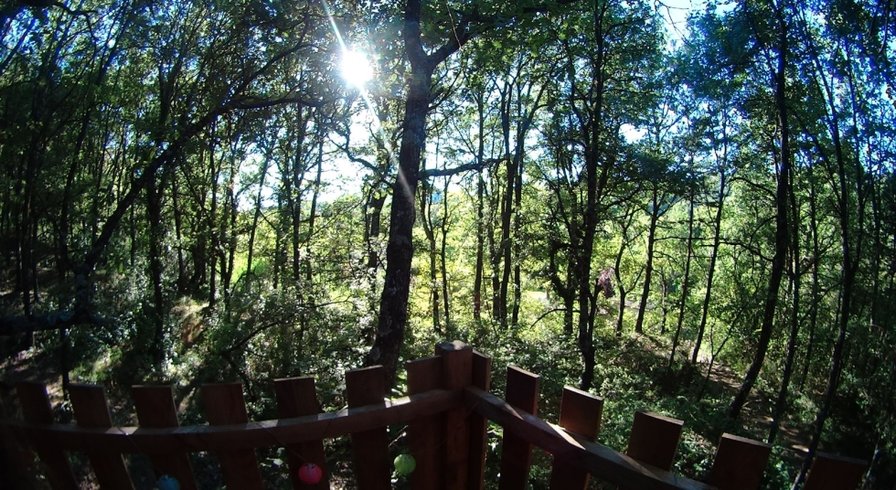 Hébergement AbracadaRoom : La Cabane de Manon - Image 2