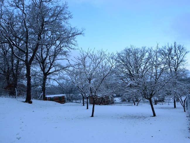 Hébergement AbracadaRoom : Champêtre - Image 15