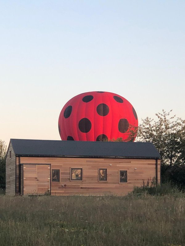 Cabane de l'Ecureuil & Bain nordique à Le Controis-En-Sologne (10)