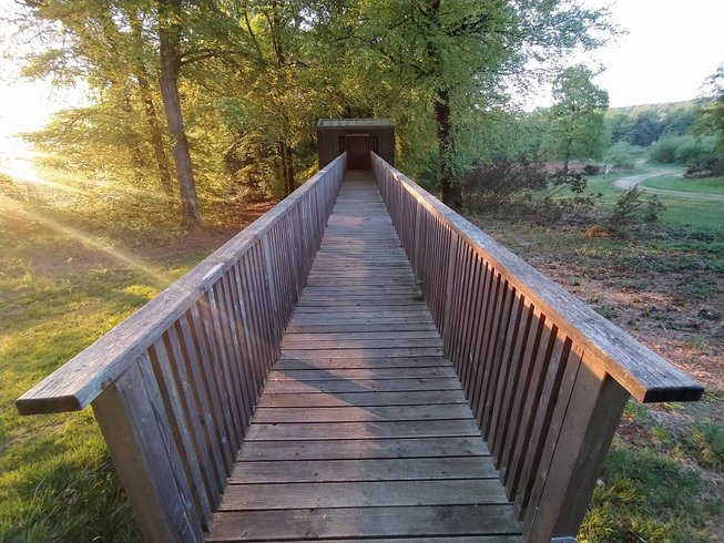 Hébergement AbracadaRoom : Cabane Spa dans les arbres PMR - Image 3