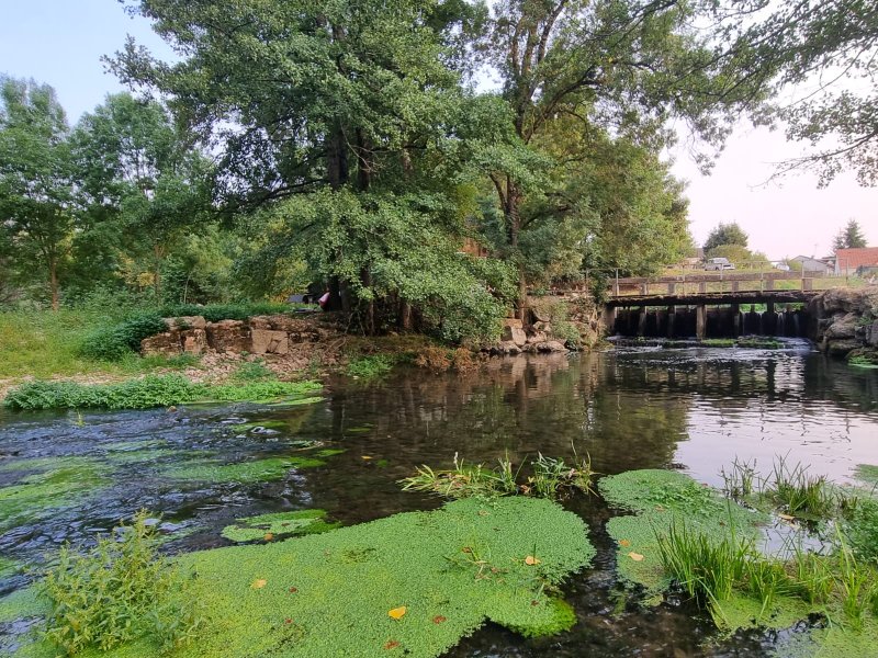 Domaine AbracadaRoom : Moulin de Vilaine - Image 70