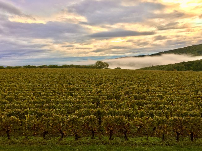 Domaine AbracadaRoom : Domaine  Joseph Lafarge - Image 2