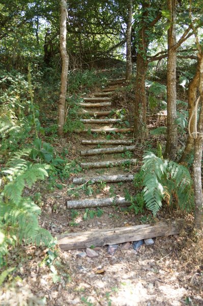 Hébergement AbracadaRoom : Tente Safari en pleine nature - Image 6