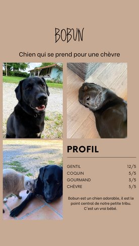 Hébergement AbracadaRoom : Dans ma Bulle & Spa - Image 33