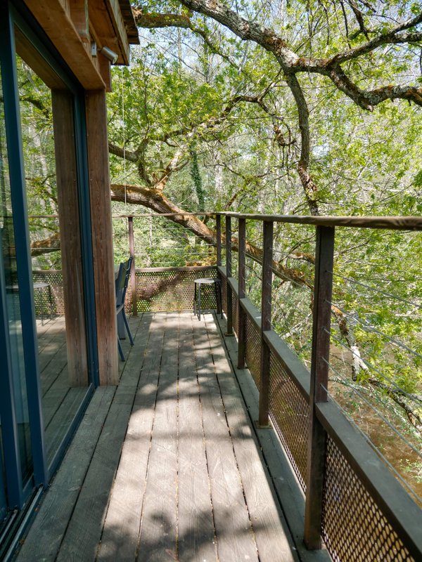 Notre Cabane perchée & son lac privé à Sadirac (10)