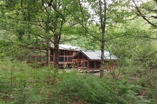 Cabane sur pilotis Deux-Sèvres