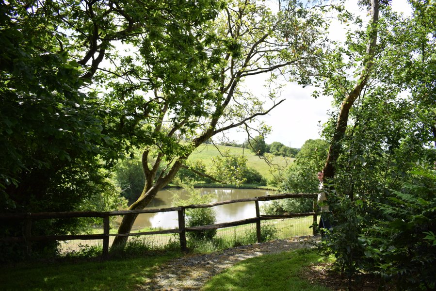 Domaine AbracadaRoom : La Flocellière en Vendée - Un Lit au Pré (à supprimer) - Image 8
