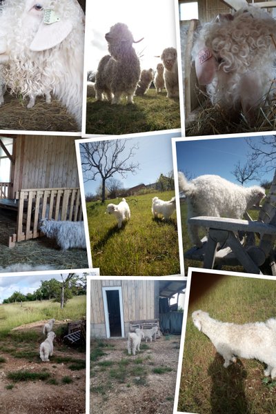 Domaine AbracadaRoom : Horizon Mohair - Image 14