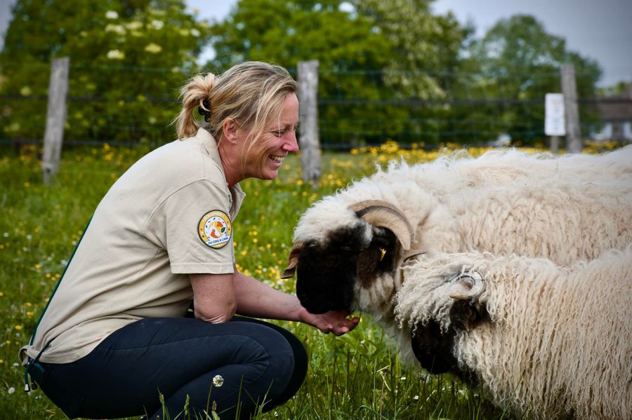 Domaine AbracadaRoom : Parc Du Coq à l'Âne - Image 19