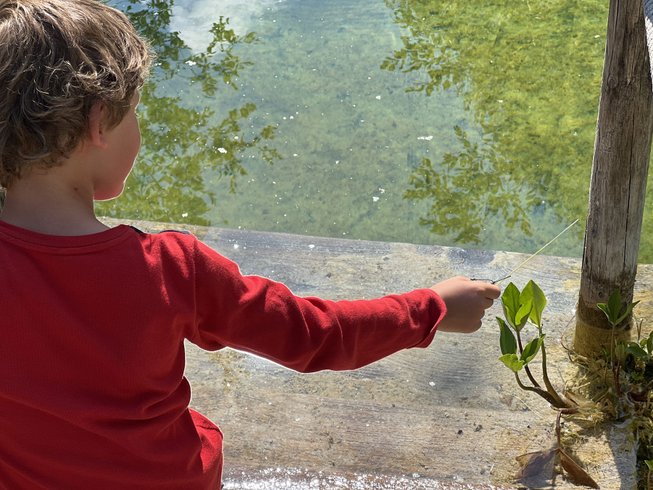 Domaine AbracadaRoom : Ô Saveur de l'instant - Image 6