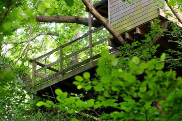 Cabane Pivert à Saint Pierre Azif (2)