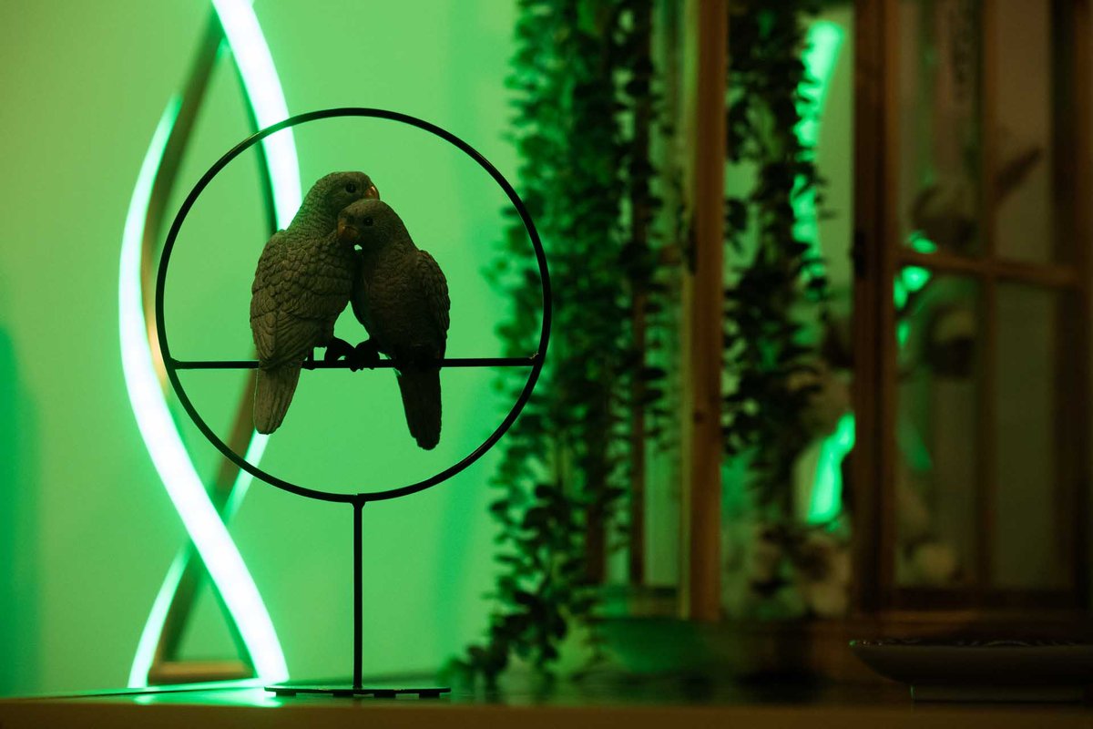 Le Jade Rouge spa & sauna à Barenton (9)