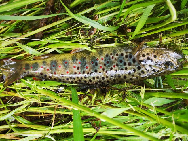 Domaine AbracadaRoom : Au Clair de l'eau - Image 22