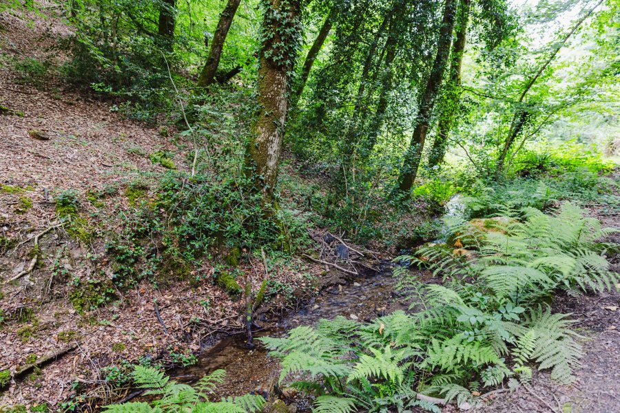 Domaine AbracadaRoom : KOADOU - Image 4