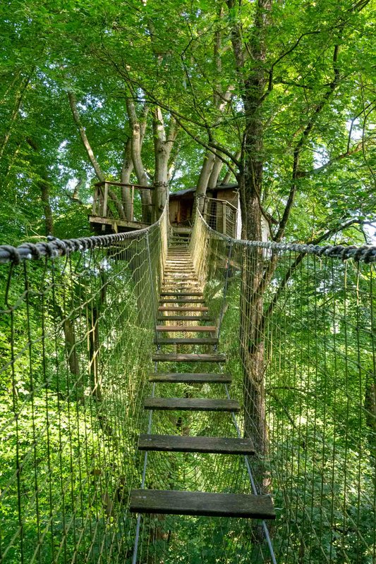 Cabane Mésange à Saint Pierre Azif (1)