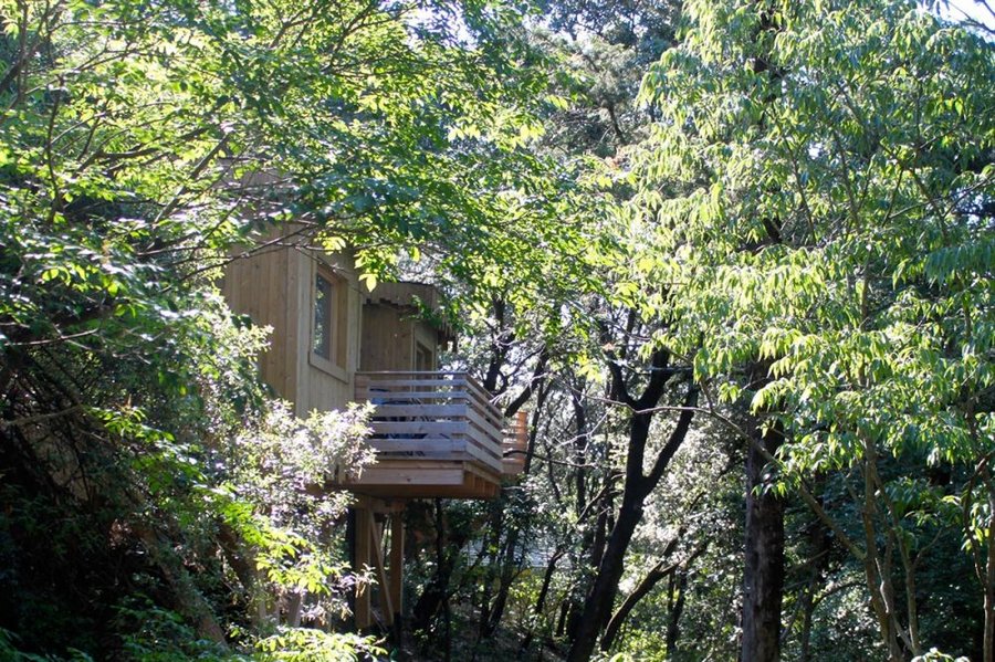 Hébergement AbracadaRoom : Cabane Fresnes - Image 2