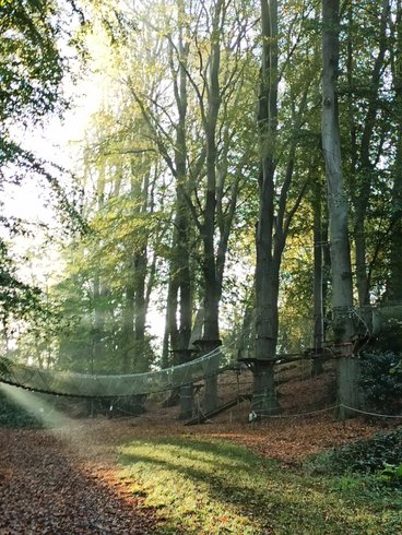 Domaine AbracadaRoom : Woody  Park - Image 2