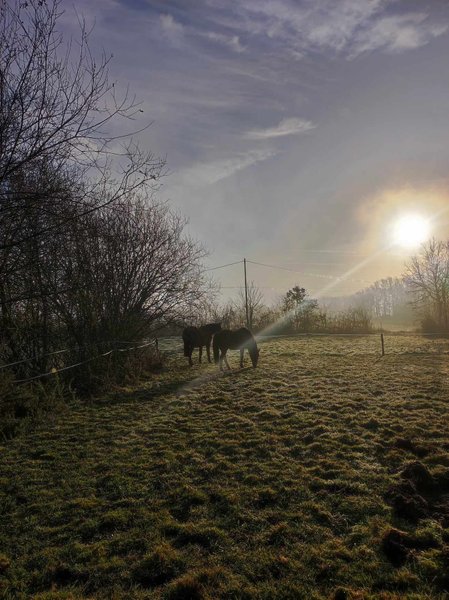 Domaine AbracadaRoom : La Roulotte Couzote - Image 4