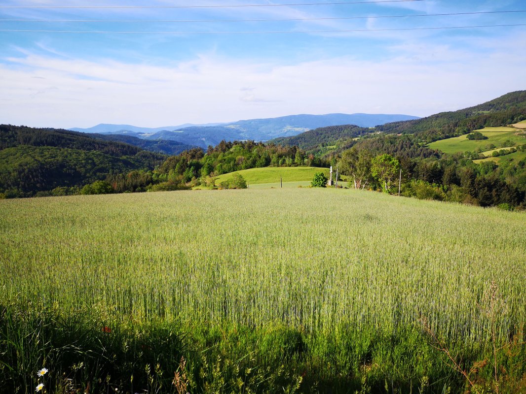 La Chapelle-Moulin & SPA à Bourg-Argental (26)