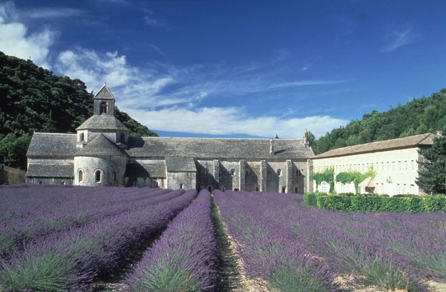 Domaine AbracadaRoom : Camping Airotel La Sorguette - Image 3