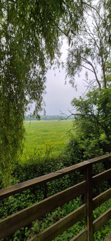 Hébergement AbracadaRoom : Dans un arbre perché - Image 26