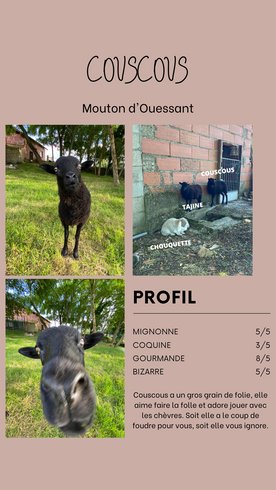 Hébergement AbracadaRoom : Dans ma Bulle & Spa - Image 32