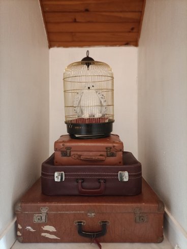 Domaine AbracadaRoom : Le Chaudron Magique de Loguivy - Image 11