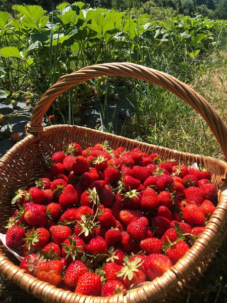 Domaine AbracadaRoom : Par les monts étoilés - Image 3