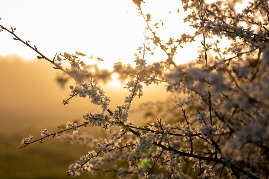 Domaine AbracadaRoom : Homnest (Billy) - Image 19