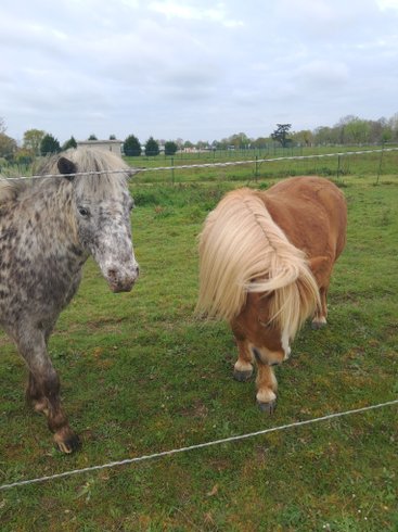 Hébergement AbracadaRoom : La Poète "La Muse" & Spa privatif - Image 13