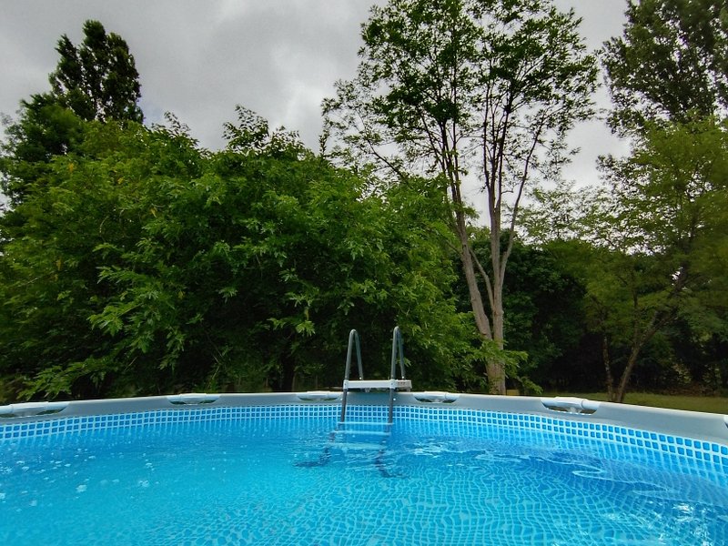 Domaine AbracadaRoom : Graines de nature - Image 4